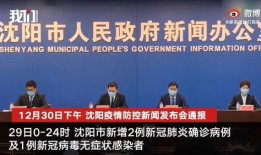 沈阳最新爆料新闻,揭秘某重大事件背后真相